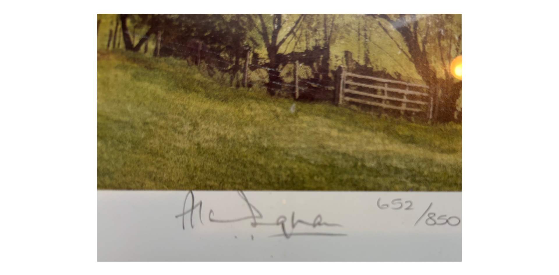 Tranquil Valley, 1955-1978 - Image 4